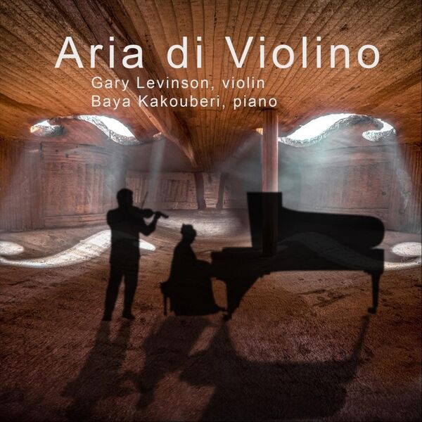 Cover art for Aria Di Violino